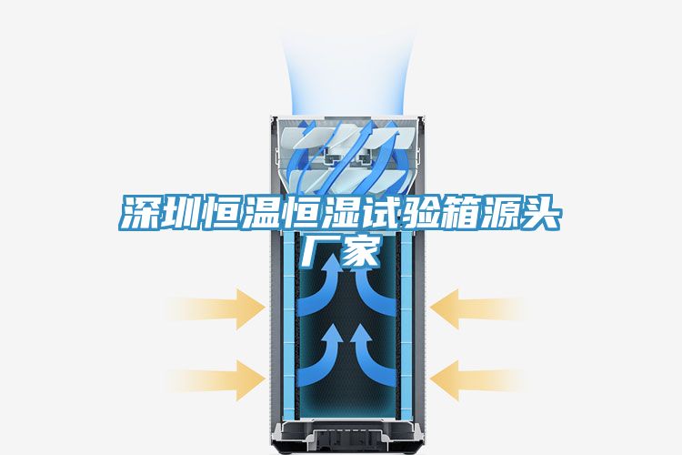 深圳恒温恒湿试验箱源头厂家
