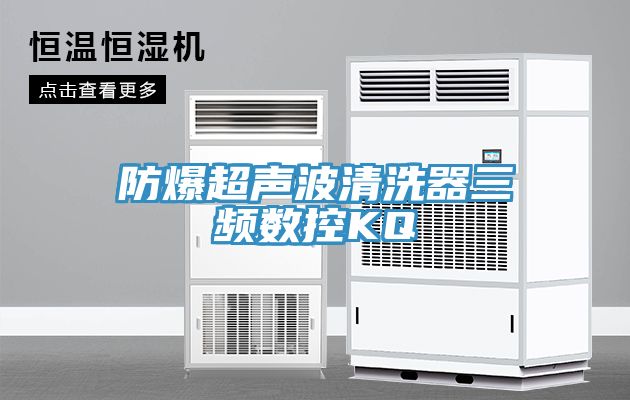 防爆超声波清洗器三频数控KQ