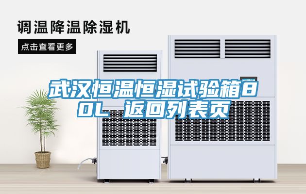 武汉恒温恒湿试验箱80L 返回列表页
