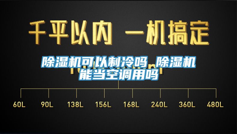 除湿机可以制冷吗 除湿机能当空调用吗