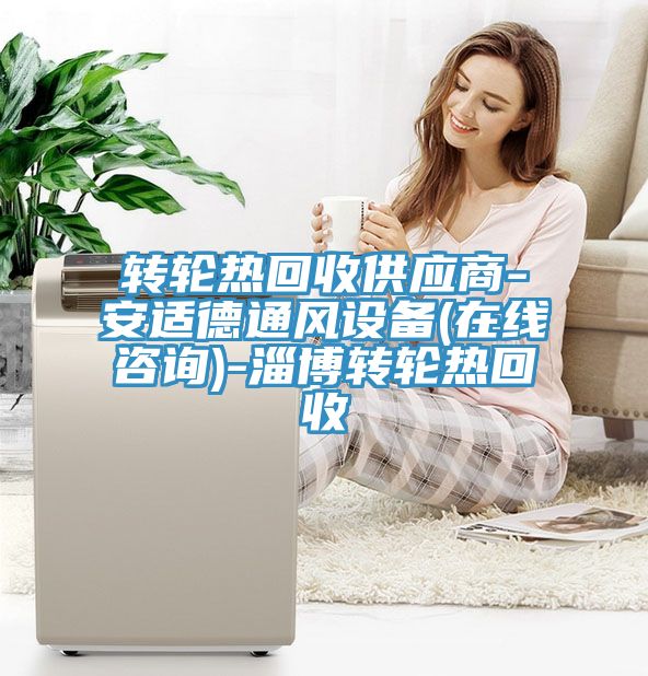 转轮热回收供应商-安适德通风设备(在线咨询)-淄博转轮热回收