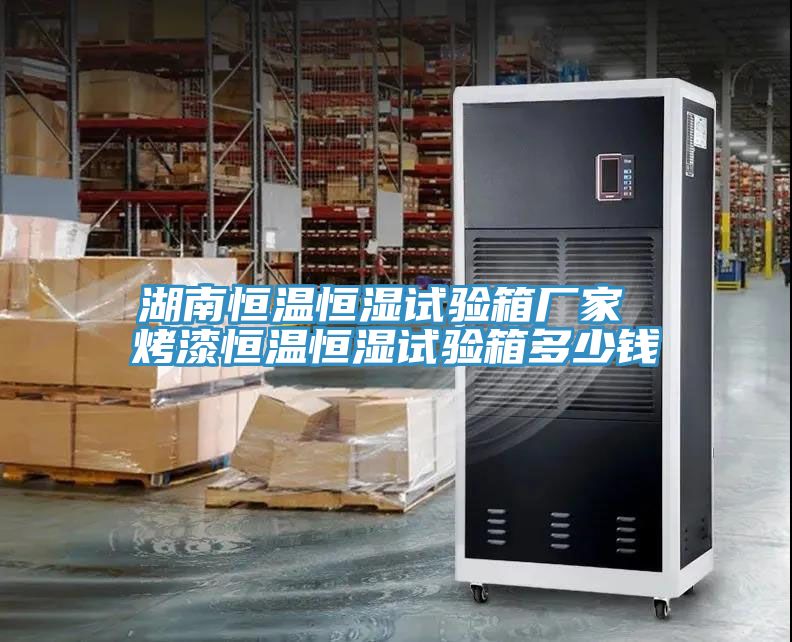 湖南恒温恒湿试验箱厂家 烤漆恒温恒湿试验箱多少钱