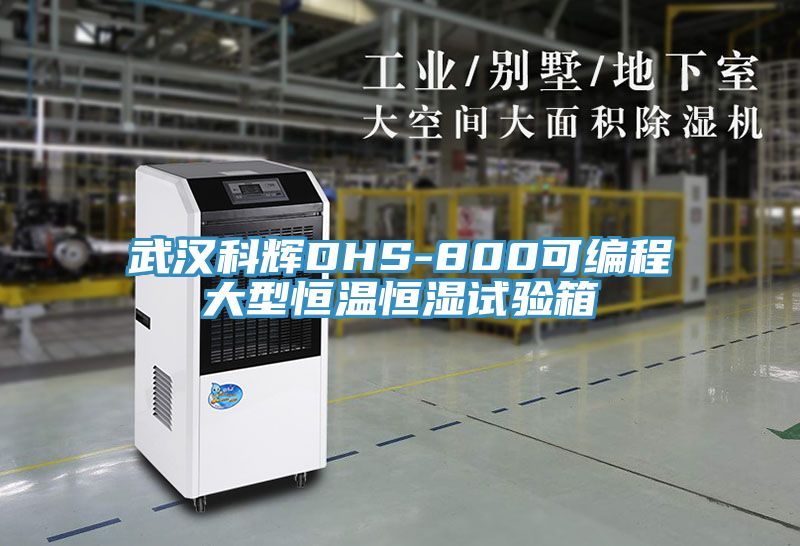武汉科辉DHS-800可编程大型恒温恒湿试验箱