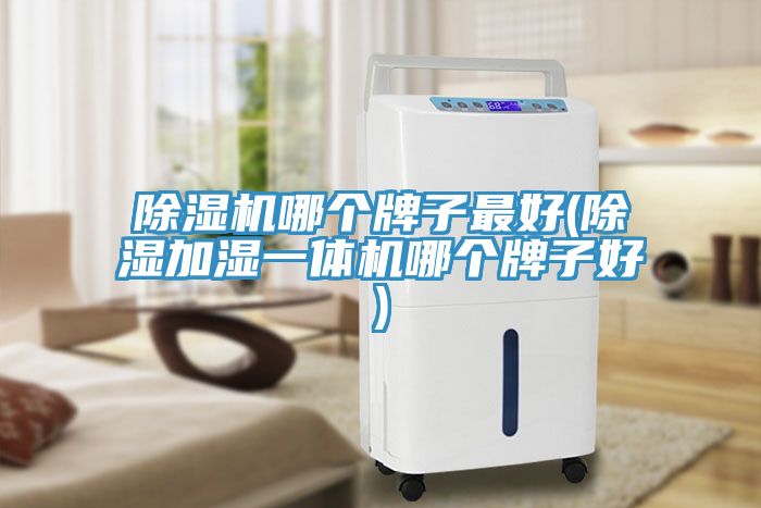 除湿机哪个牌子最好(除湿加湿一体机哪个牌子好)