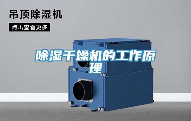 除湿干燥机的工作原理