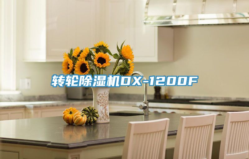 转轮除湿机DX-1200F