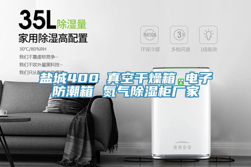 盐城400℃真空干燥箱 电子防潮箱 氮气除湿柜厂家