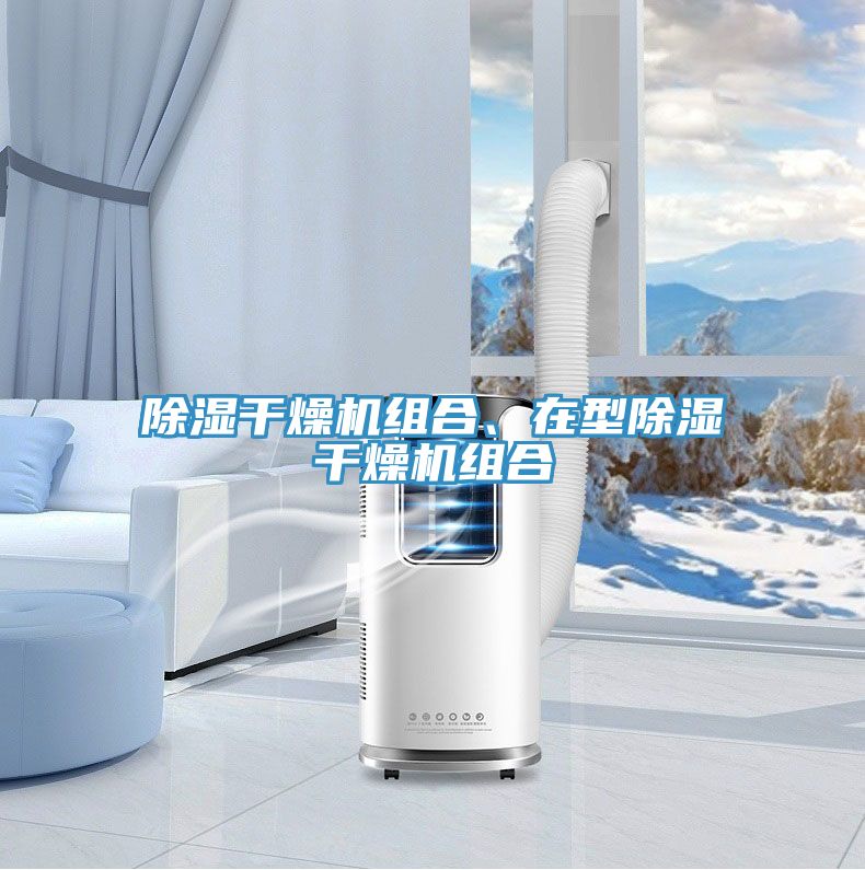 除湿干燥机组合、在型除湿干燥机组合