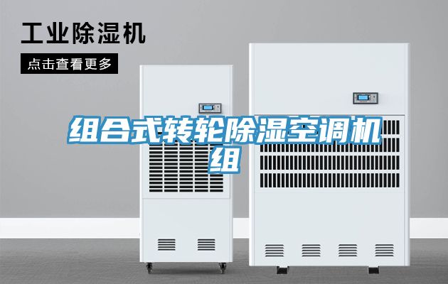 组合式转轮除湿空调机组