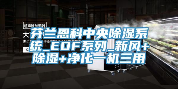芬兰恩科中央除湿系统_EDF系列_新风+除湿+净化一机三用