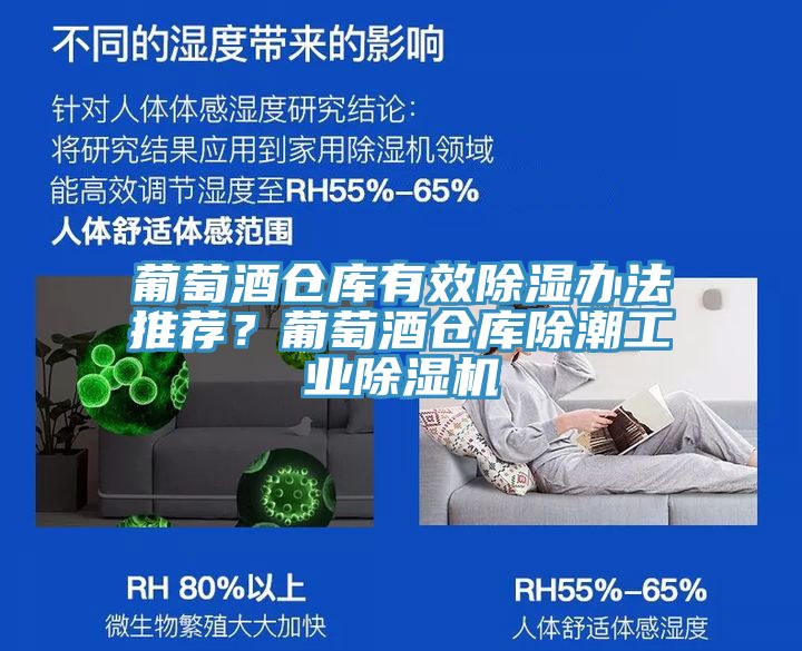 葡萄酒仓库有效除湿办法推荐？葡萄酒仓库除潮工业除湿机