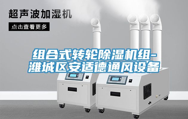 组合式转轮除湿机组-潍城区安适德通风设备