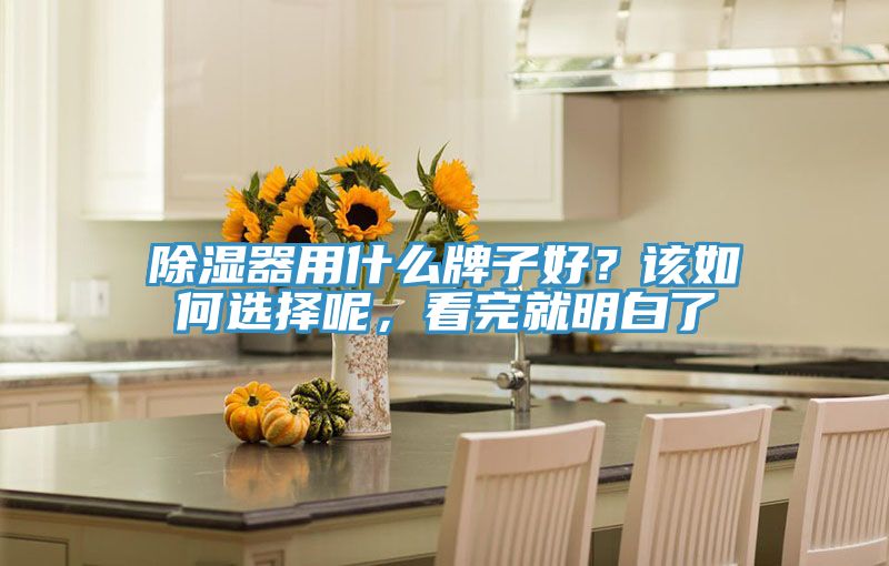 除湿器用什么牌子好？该如何选择呢，看完就明白了