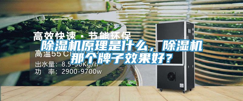 除湿机原理是什么，除湿机那个牌子效果好？