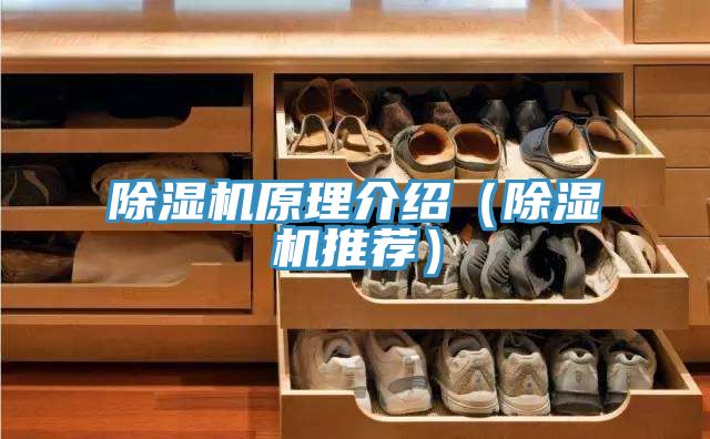 除湿机原理介绍（除湿机推荐）