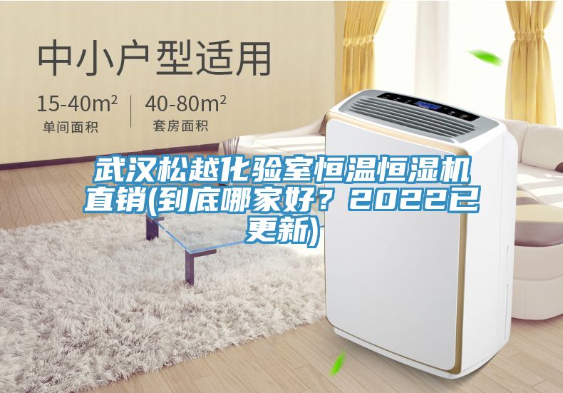 武汉松越化验室恒温恒湿机直销(到底哪家好？2022已更新)