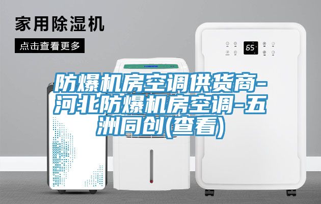 防爆机房空调供货商-河北防爆机房空调-五洲同创(查看)