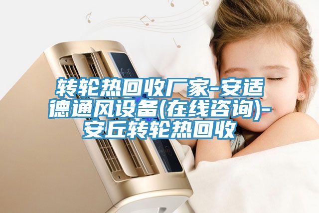 转轮热回收厂家-安适德通风设备(在线咨询)-安丘转轮热回收