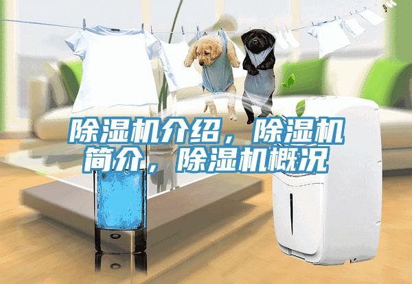 除湿机介绍，除湿机简介，除湿机概况