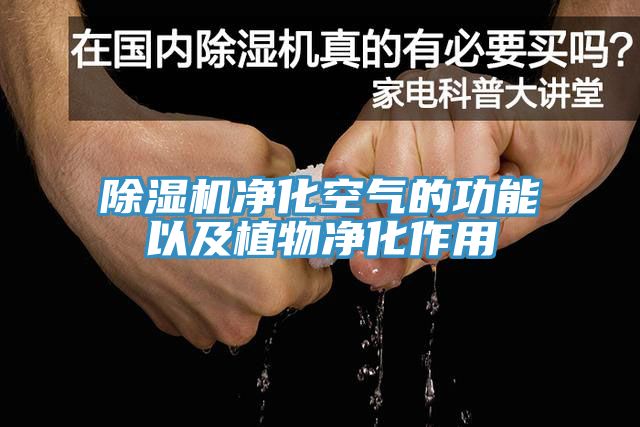 除湿机净化空气的功能以及植物净化作用
