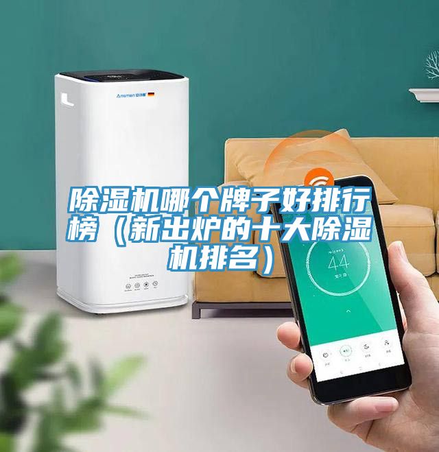 除湿机哪个牌子好排行榜（新出炉的十大除湿机排名）