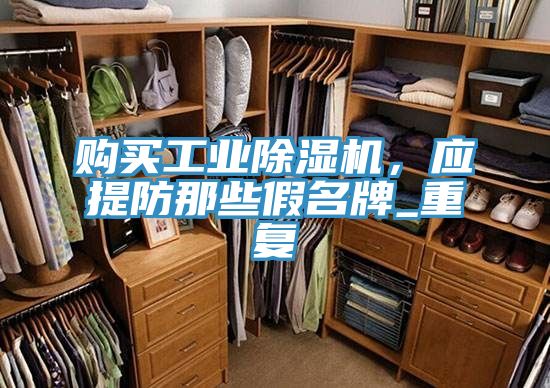 购买工业除湿机，应提防那些假名牌_重复