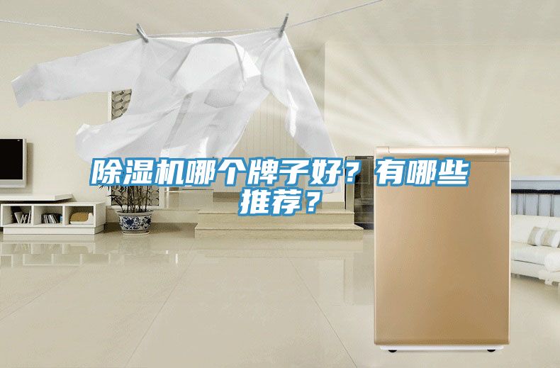 除湿机哪个牌子好？有哪些推荐？
