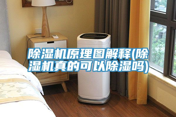 除湿机原理图解释(除湿机真的可以除湿吗)