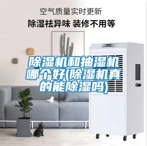 除湿机和抽湿机哪个好(除湿机真的能除湿吗)