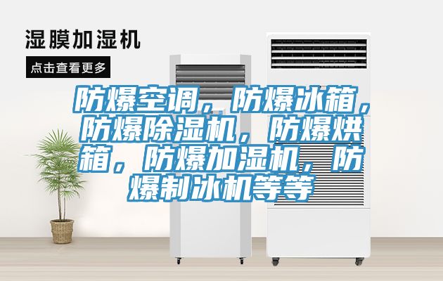 防爆空调，防爆冰箱，防爆除湿机，防爆烘箱，防爆加湿机，防爆制冰机等等