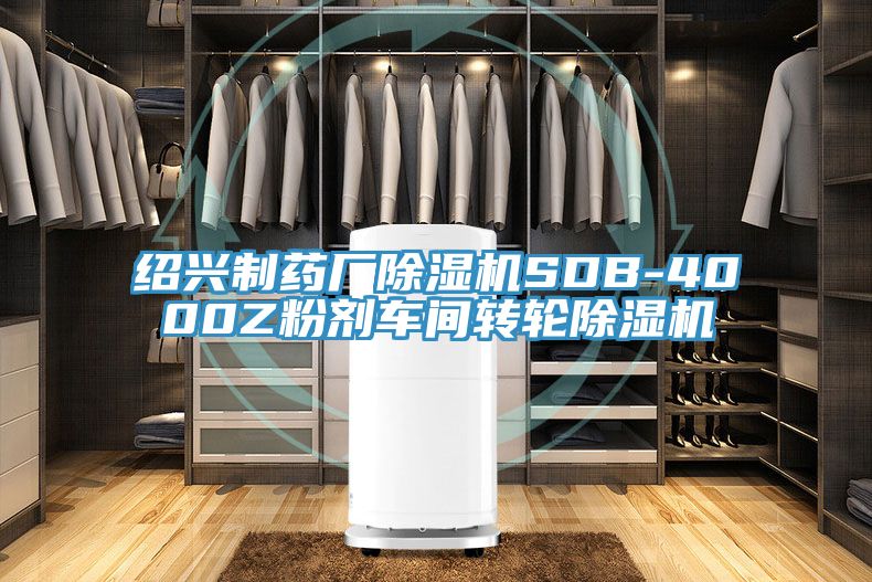 绍兴制药厂除湿机SDB-4000Z粉剂车间转轮除湿机