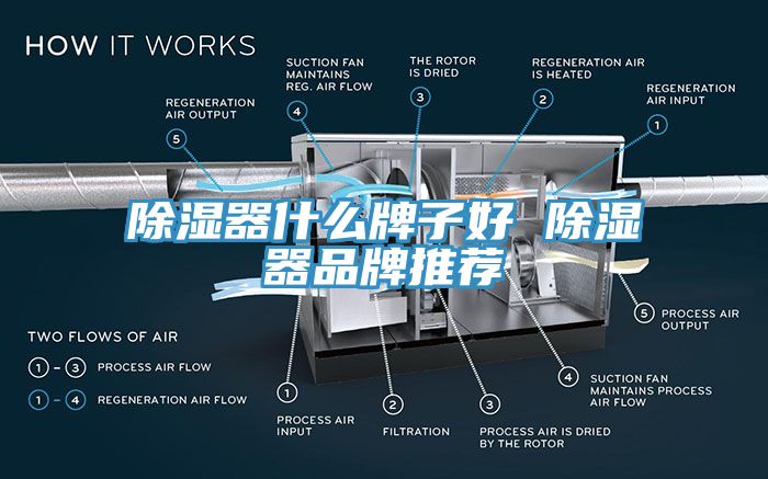 除湿器什么牌子好 除湿器品牌推荐