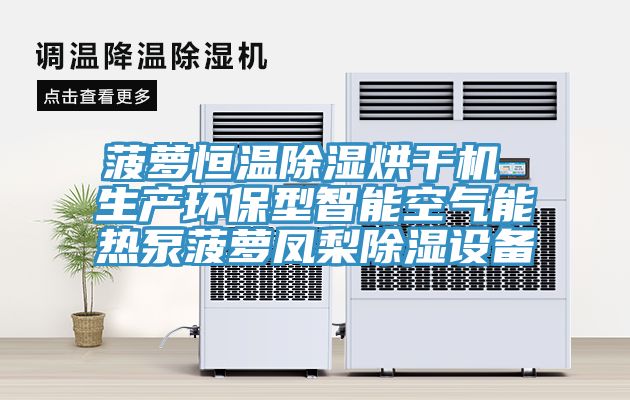 菠萝恒温除湿烘干机 生产环保型智能空气能热泵菠萝凤梨除湿设备