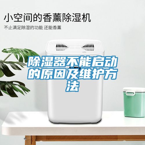 除湿器不能启动的原因及维护方法