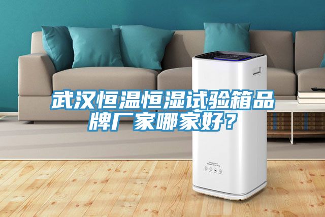 武汉恒温恒湿试验箱品牌厂家哪家好？