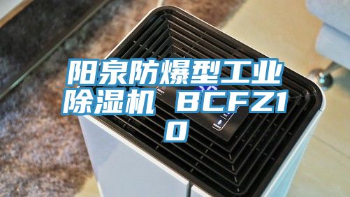 阳泉防爆型工业除湿机 BCFZ10