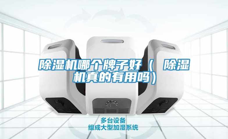 除湿机哪个牌子好（ 除湿机真的有用吗）