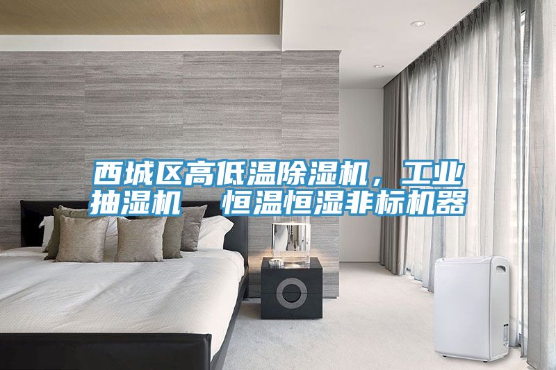 西城区高低温除湿机，工业抽湿机  恒温恒湿非标机器