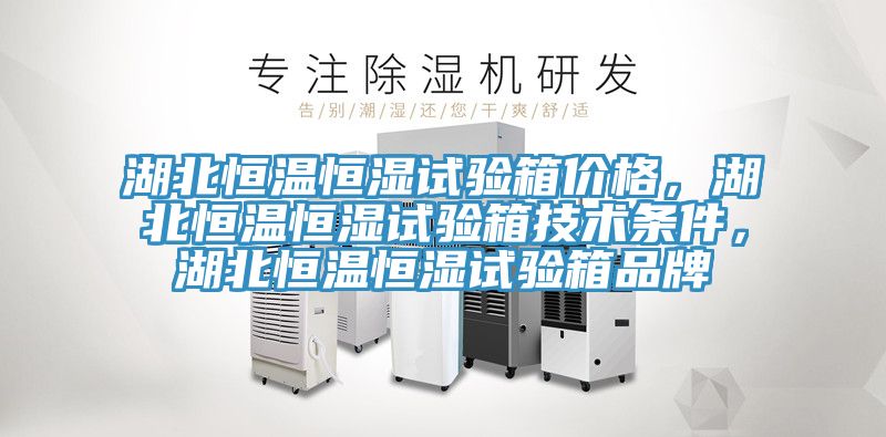 湖北恒温恒湿试验箱价格，湖北恒温恒湿试验箱技术条件，湖北恒温恒湿试验箱品牌