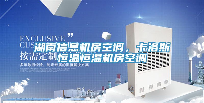 湖南信息机房空调，卡洛斯恒温恒湿机房空调