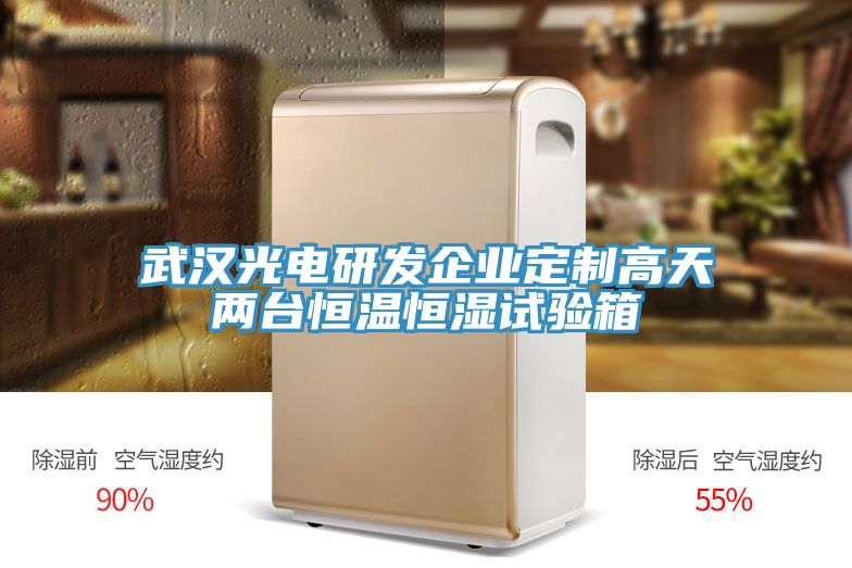 武汉光电研发企业定制高天两台恒温恒湿试验箱