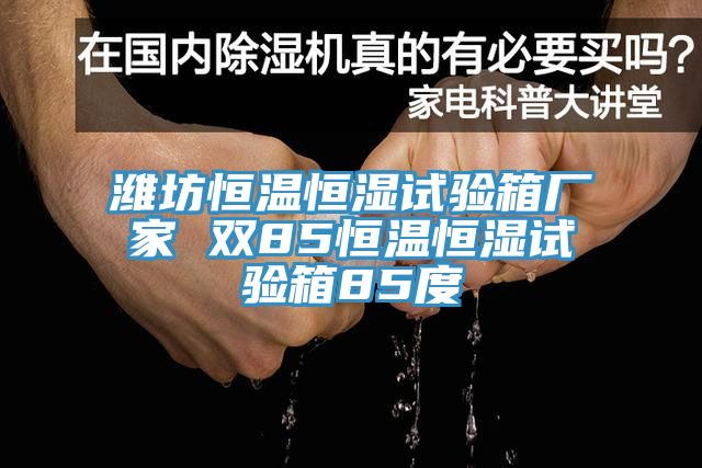 潍坊恒温恒湿试验箱厂家 双85恒温恒湿试验箱85度