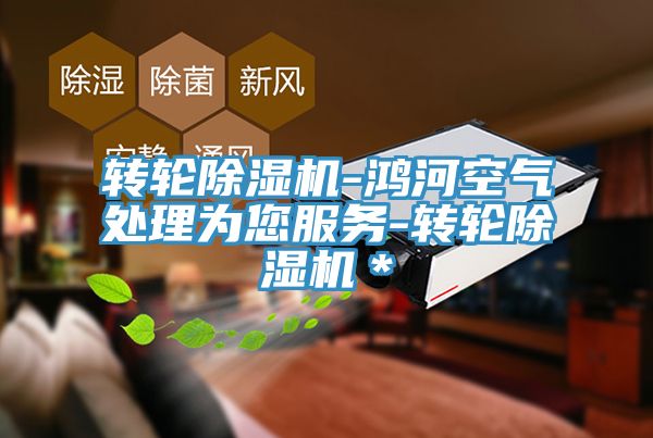 转轮除湿机-鸿河空气处理为您服务-转轮除湿机＊
