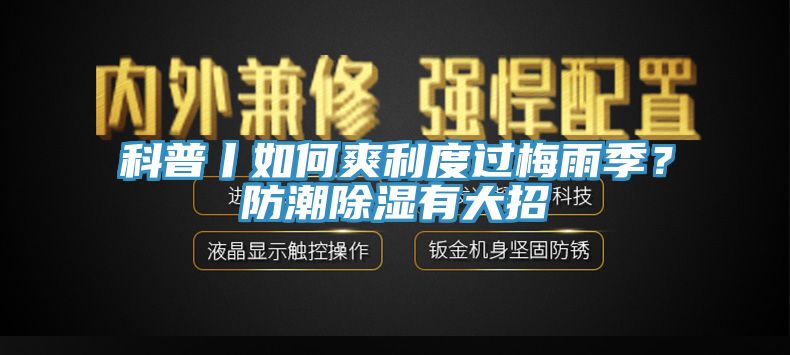 科普丨如何爽利度过梅雨季？防潮除湿有大招