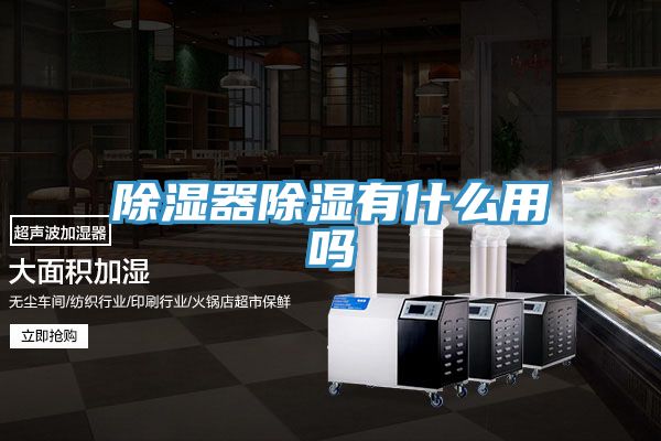 除湿器除湿有什么用吗