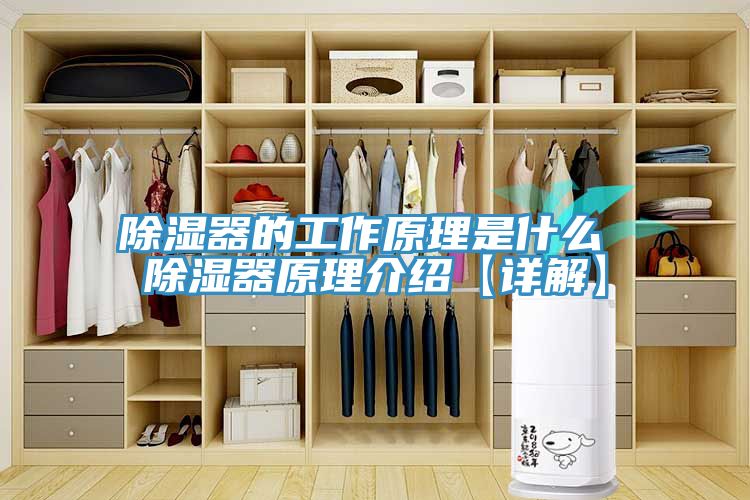 除湿器的工作原理是什么 除湿器原理介绍【详解】