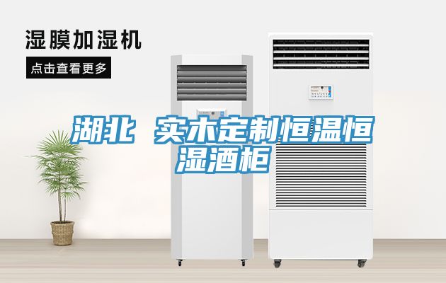 湖北 实木定制恒温恒湿酒柜