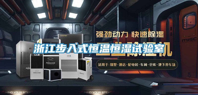 浙江步入式恒温恒湿试验室