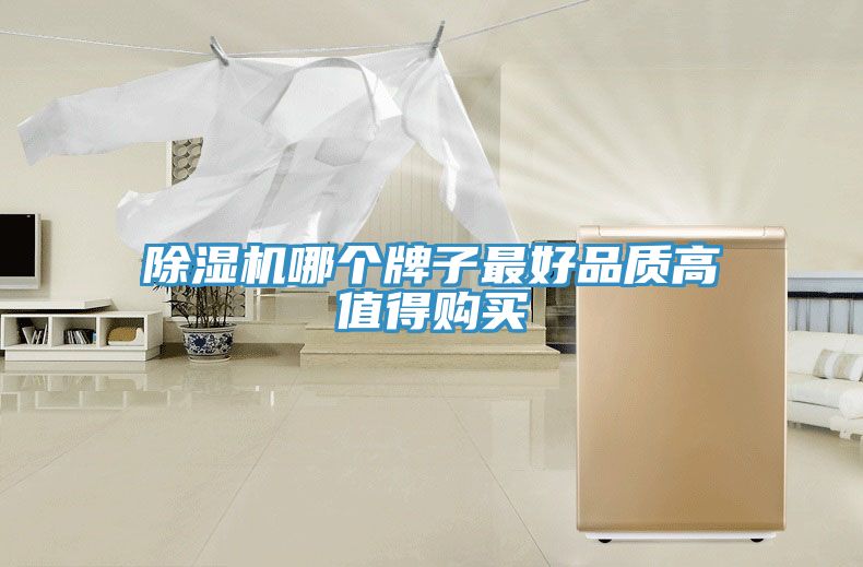 除湿机哪个牌子最好品质高值得购买