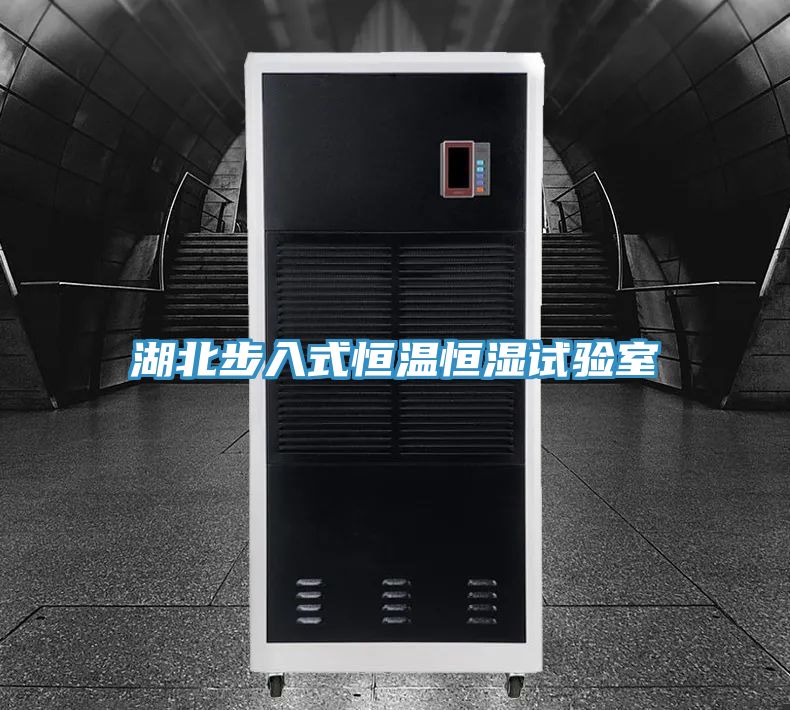 湖北步入式恒温恒湿试验室